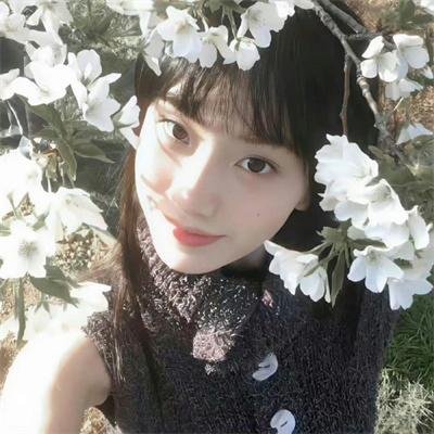 潘朵拉之心